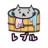 Фото профиля レブル♨️りかです🐈⸒⸒⸒⸒