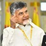 Hemadri Naidu's profile picture