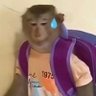 Profilbild von chill🐒malo