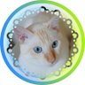 ✨しろくん☕️✨️ profil fotoğrafı