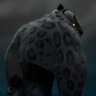 Lf 🐆 的头像