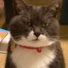 Profilbild von Chris