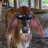 Mon Ragnarsson's profile picture