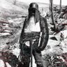Profilbild von Calmonzinha Motors
