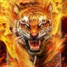 video_karışık's profile picture