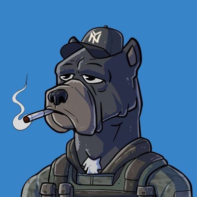 carin_netwol's profile picture