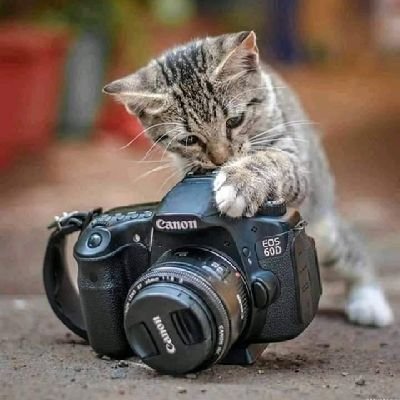 FojasFernando's profile picture