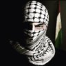 Mohamed Amine Mouallim's profile picture
