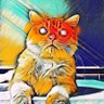 Pare Tiger profil fotoğrafı