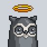 Rishi's profile picture