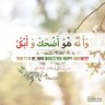 Фото профиля Sahar