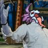 Zipped442's profile picture