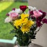 Profilbild von @rossunflower