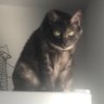 Piluzka's profile picture