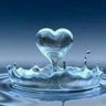 Rithy Phak_Hun's profile picture