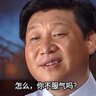 习猪头—中国人的领袖's profile picture