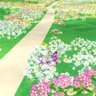 こま🈂️🌿🩷 的头像