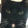 Neri's profile picture