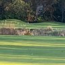 Golf guy profil fotoğrafı