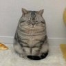 R ENmmm's profile picture