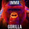 Imma Gorilla's profile picture