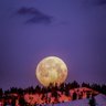 AlanJB's profile picture