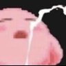 Ferni's profile picture