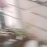 kemotias 的头像