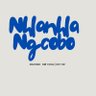 Nhlanhla Ngcobo's profile picture