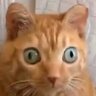 westin_sux's profile picture