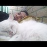 sofan profil fotoğrafı