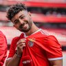 Toni Gutiérrez 🦅🇪🇸 profil fotoğrafı