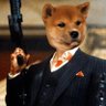 Honda Updog's profile picture