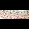 Фото профиля zerda wang