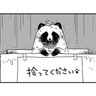 rata🕶⸒⸒ 的头像