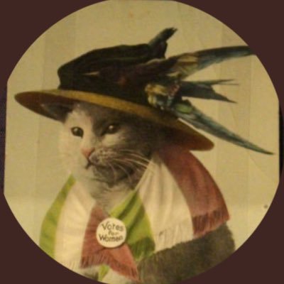 hatpinwoman's profile picture
