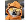 yieldmember.shm 🛸❤️ Memecoin🌊🏰🐰🔴✨(L3, ❄️)🧑's profile picture