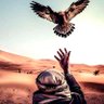 Eyad Al Aboud's profile picture