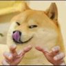 Giga Schmock's profile picture