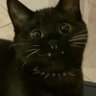 .spiderlegz's profile picture