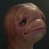 Fefe's profile picture