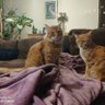 Hilal güney profil fotoğrafı