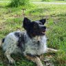 Profilbild von Emilia Maryan