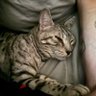 Gio profil fotoğrafı