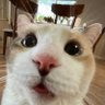 Andrei's profile picture