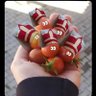 Yeni Çeri 的头像