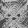 Nori ʕ •ᴥ•ʔ's profile picture