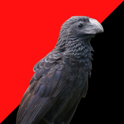 316_edgar's profile picture