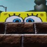 Shaz's profile picture