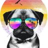Rocio Chuecas's profile picture